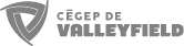 Group 4025